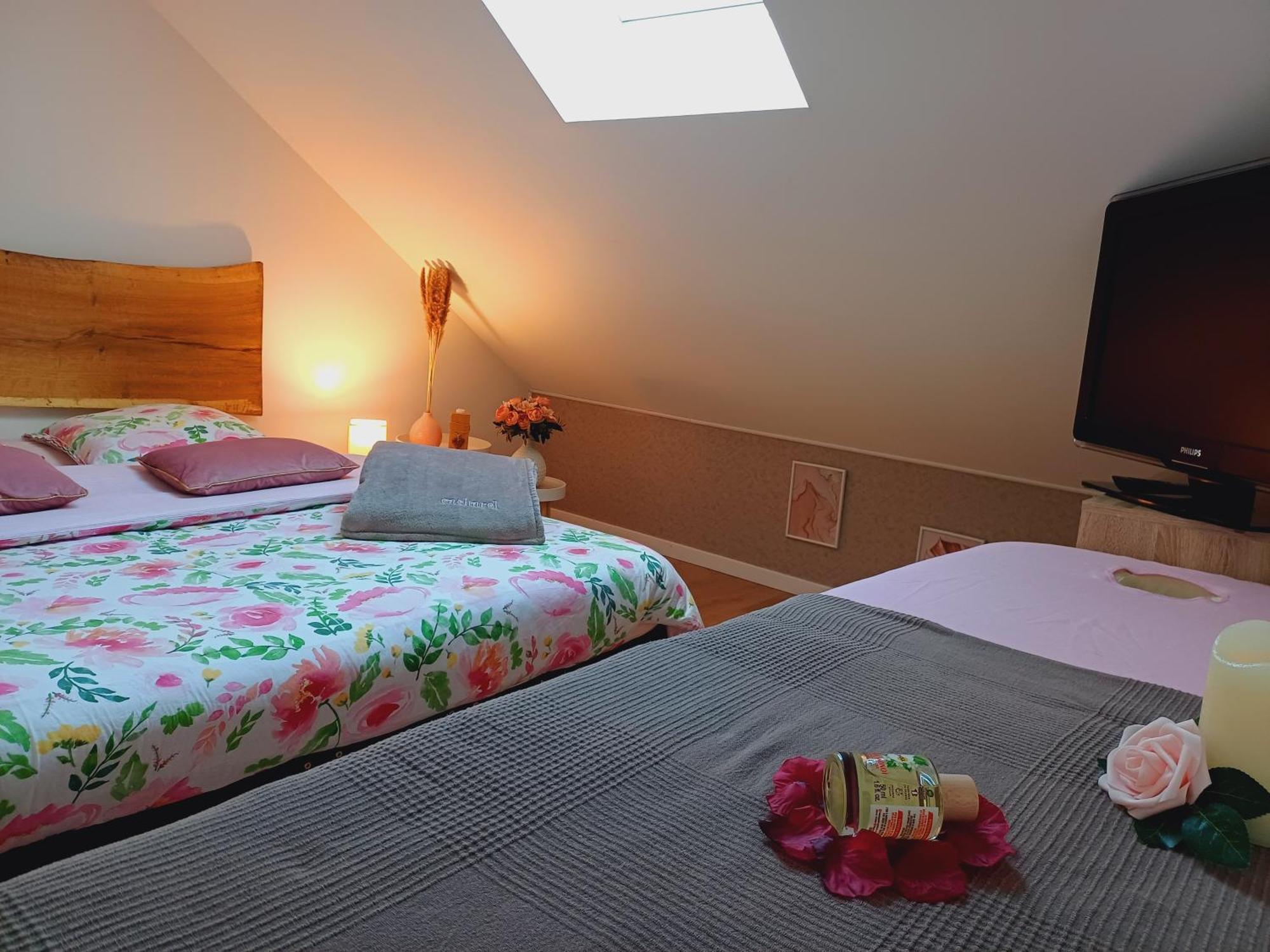 Le Sablon - Appartement Bien-Etre, Spa & Massages A 20Mn De Reims Centre Unchair Buitenkant foto